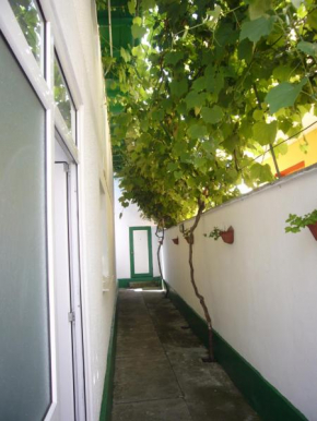 Apartamente Pinciuc Costinesti